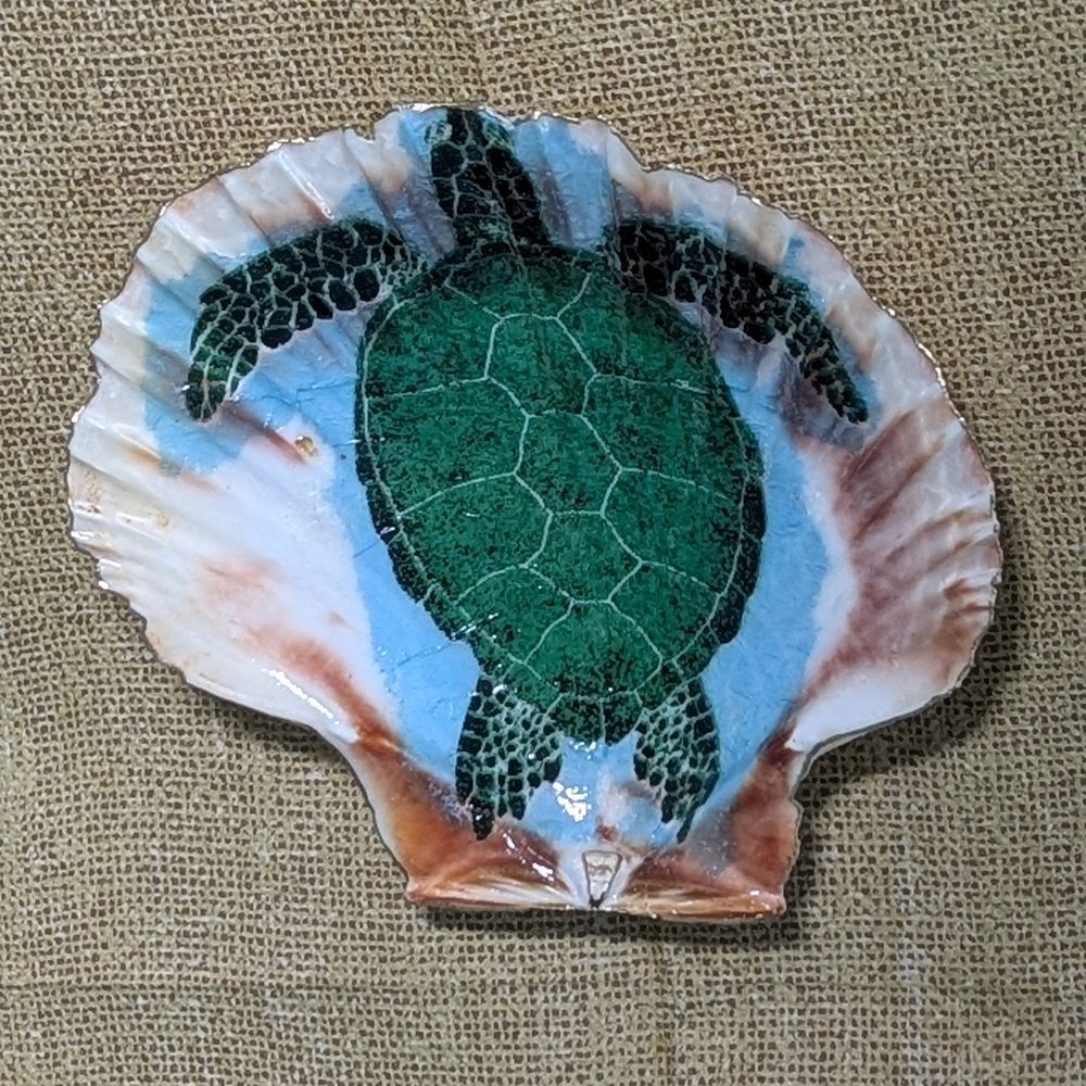 Hand Crafted Decoupaged Scallop Shell Turtle Diving On Natural Background 4.5x4 - Picture 2 of 6